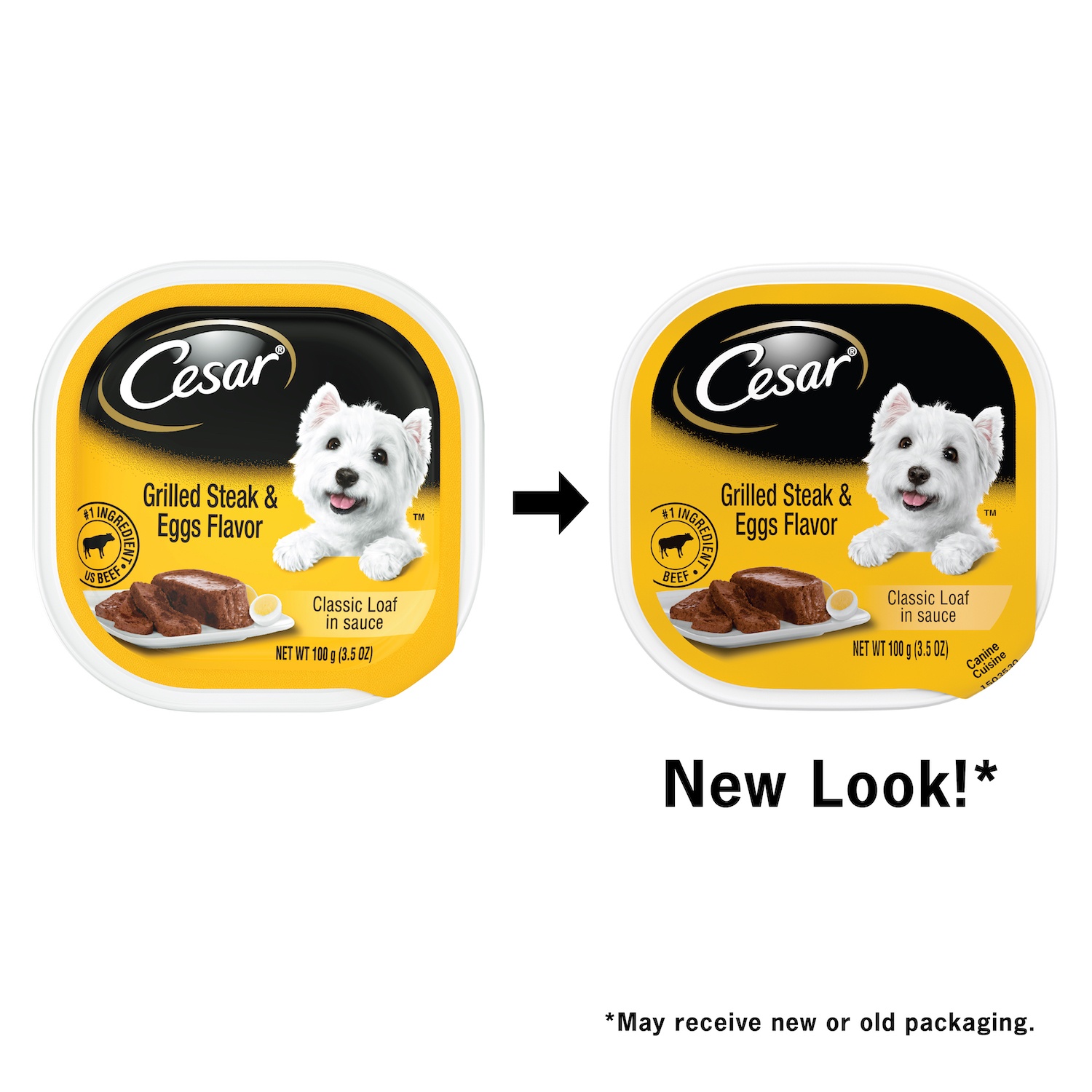 CESAR Soft Wet Dog Food Classic Loaf in Sauce Grilled Steak and Eggs