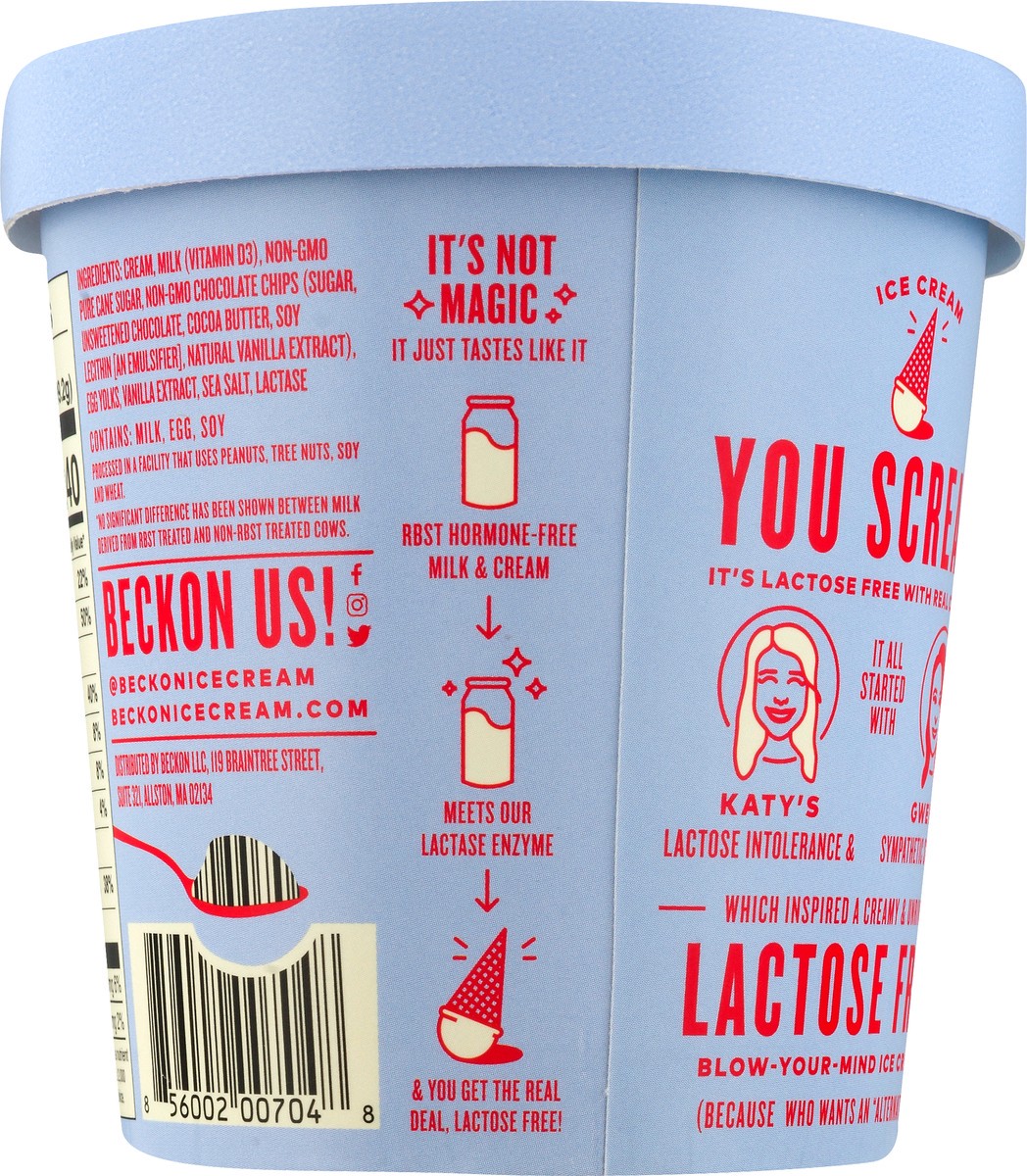 slide 5 of 9, Beckon Lactose Free Sea Salt Chocolate Chip Ice Cream 1 pt, 16 fl oz