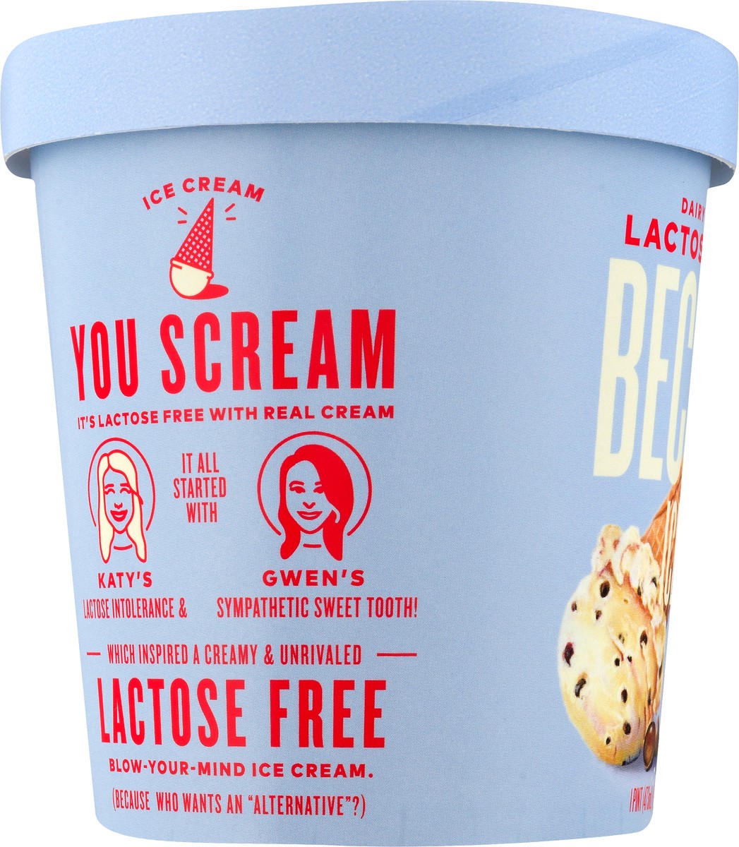 slide 7 of 9, Beckon Lactose Free Sea Salt Chocolate Chip Ice Cream 1 pt, 16 fl oz