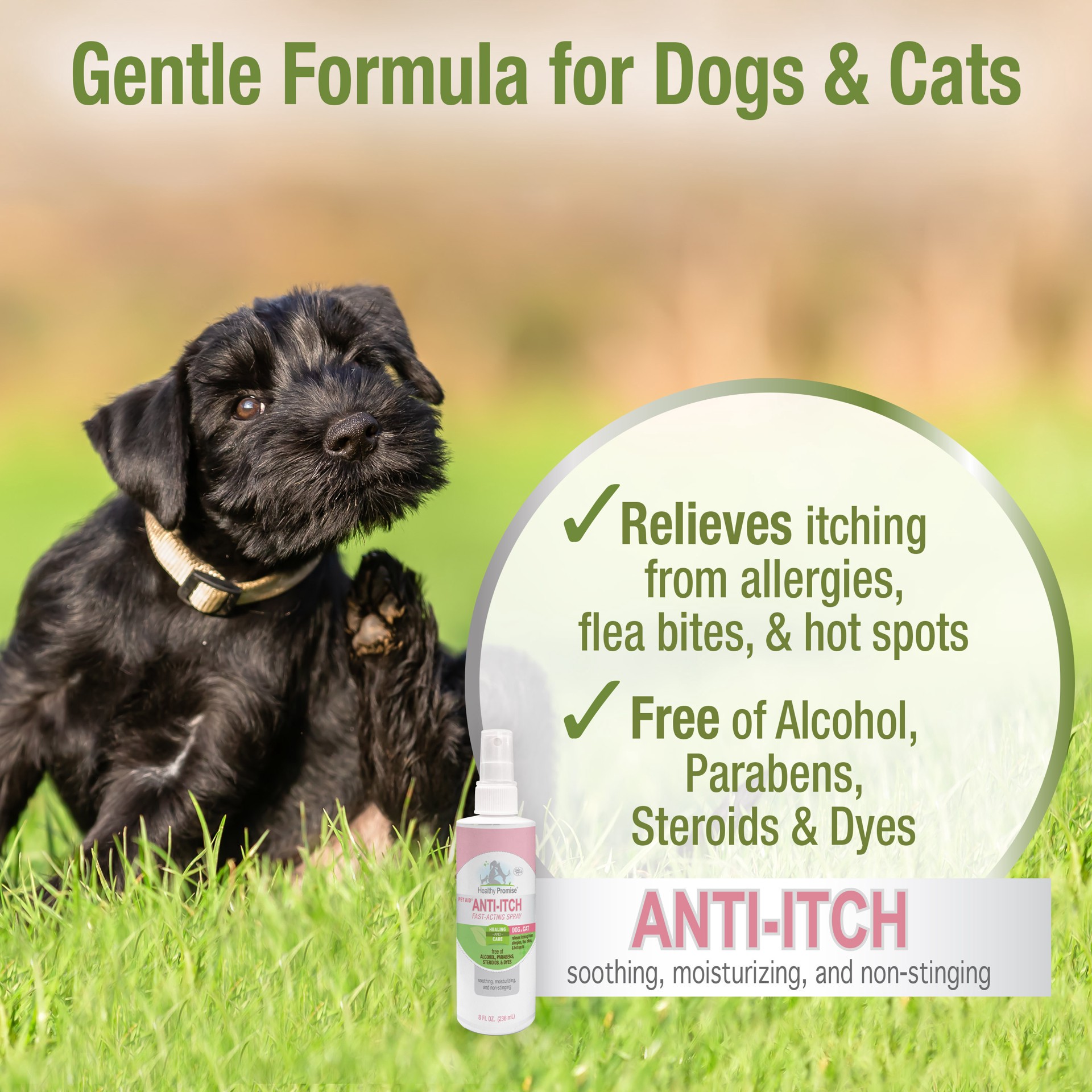 slide 3 of 10, Four Paws Medicated Anti-Itch Spray 8 oz, 8 oz