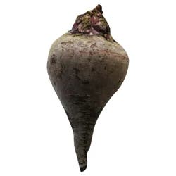 Fresh Beets