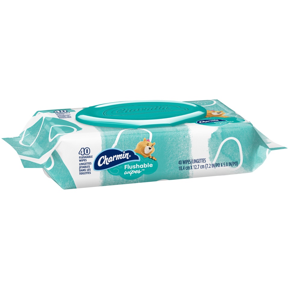 slide 2 of 3, Charmin Flushable Wipes, 1 ct
