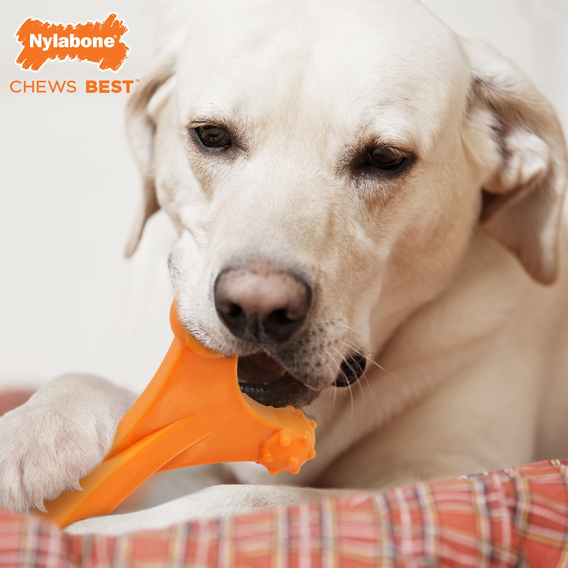 slide 8 of 8, Nylabone Power Chew Axis Bone Dog Chew Toy Bacon X-Large/Souper - 50+ lbs.(1 Count), 9.6 oz; MED