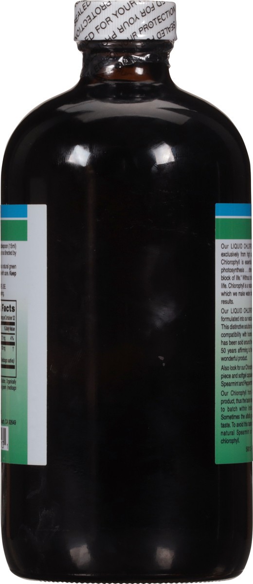 slide 9 of 9, World Liquid 100 mg Chlorophyll 16 fl oz, 16 fl oz