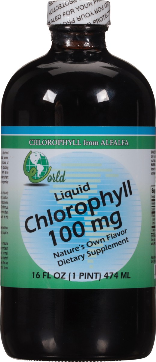 slide 3 of 9, World Liquid 100 mg Chlorophyll 16 fl oz, 16 fl oz