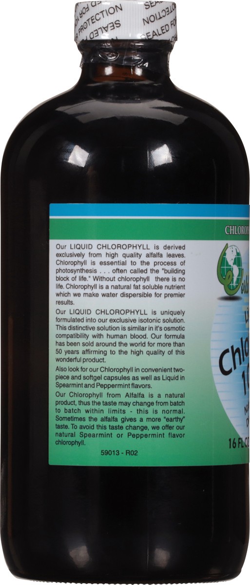 slide 6 of 9, World Liquid 100 mg Chlorophyll 16 fl oz, 16 fl oz