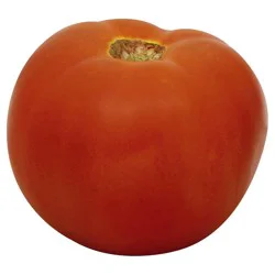 Large Tomato