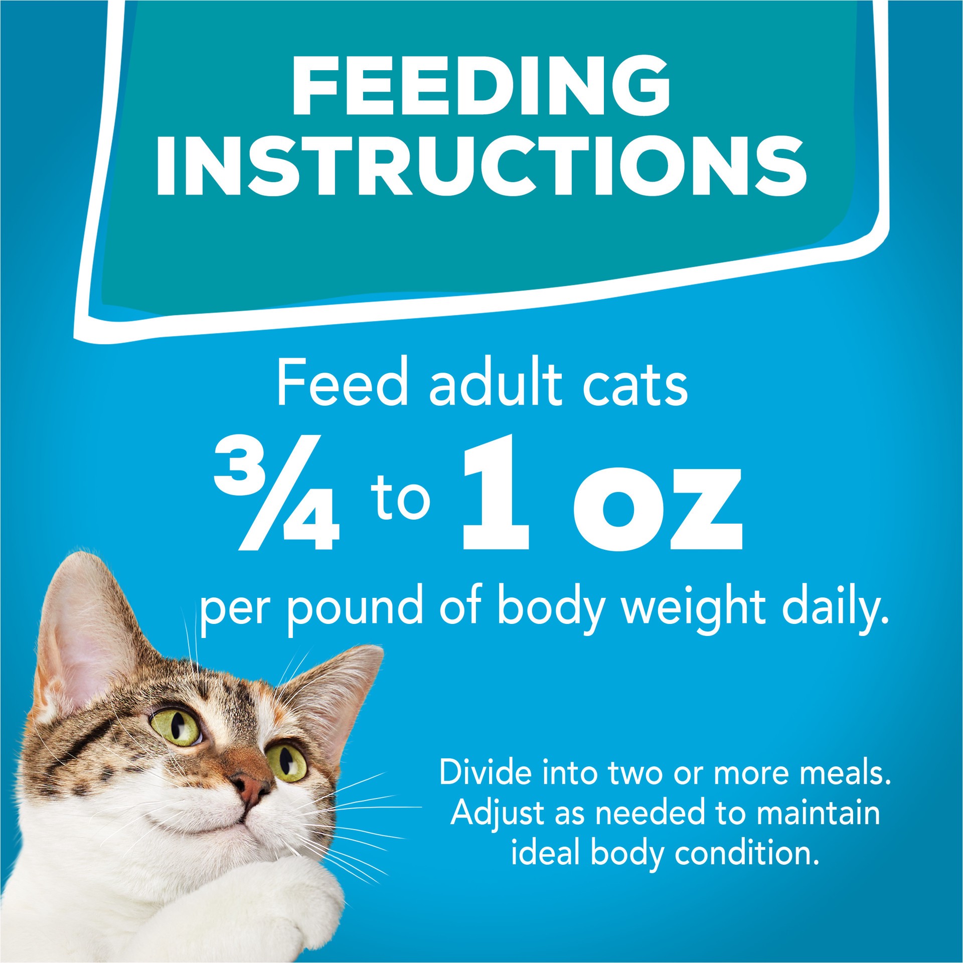 slide 6 of 7, Friskies Purina Friskies Pate Wet Cat Food, Tasty Treasures With Ocean Fish & Tuna and Scallop Flavor, 5.5 oz