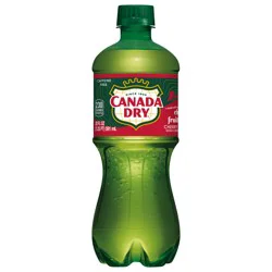 Canada Dry Fruit Splash Cherry Ginger Ale Soda, 20 fl oz