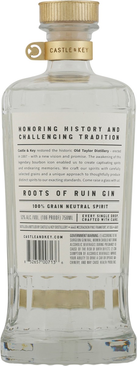 slide 5 of 9, Castle & Key Gin, Dry, Roots Of Ruin, 750 ml