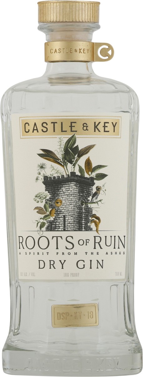 slide 6 of 9, Castle & Key Gin, Dry, Roots Of Ruin, 750 ml