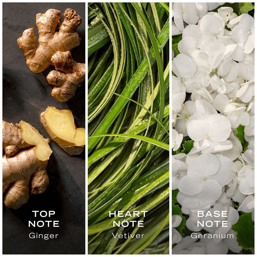 slide 5 of 5, Nautica Green Fragrance Eau De Toilette, 3.3 fl oz