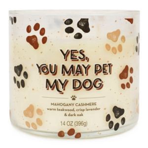 slide 1 of 1, Star Candle Co. "Yes, You May Pet My Dog" Candle, Mahogany Cashmere, 14 Oz, 14 oz