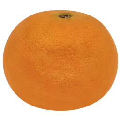 Gold Nugget Tangerine