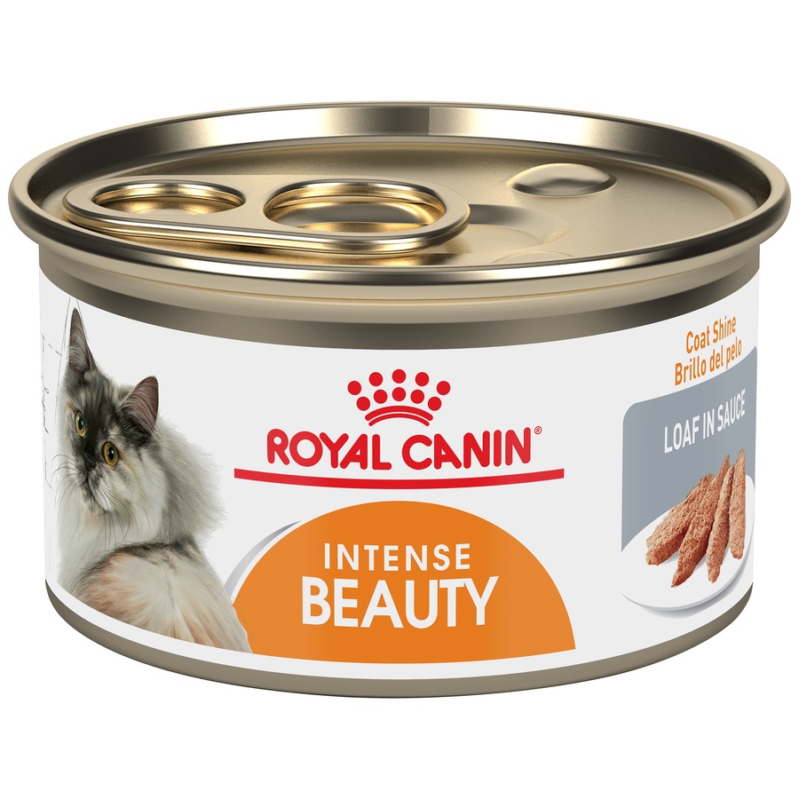 slide 1 of 7, Royal Canin Feline Health Nutrition Intense Beauty Loaf in Sauce Canned Cat Food, 3 oz