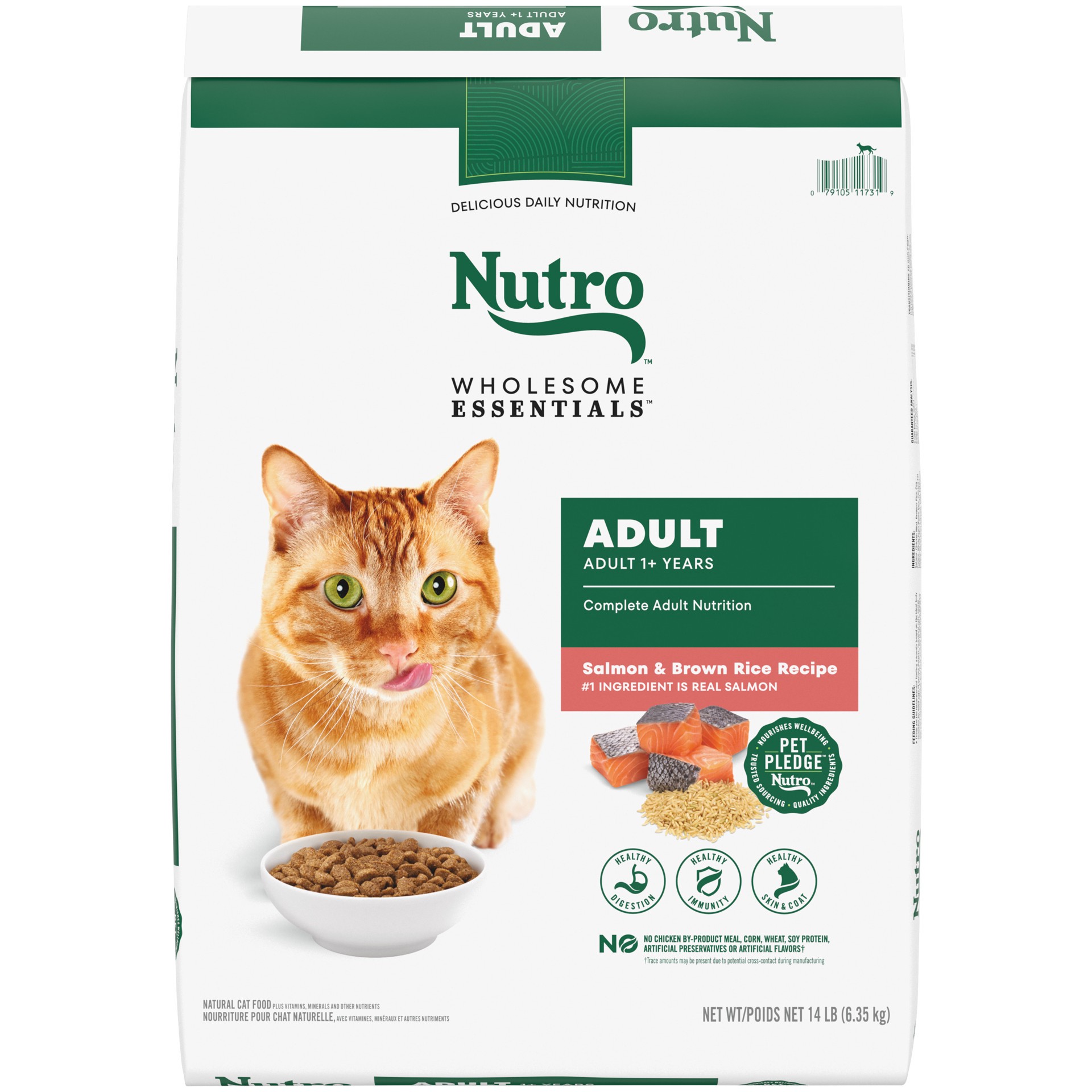 slide 1 of 6, Nutro Wholesome Essentials Adult Dry Cat Food, Salmon & Brown Rice Recipe, 14 lbs., 14 lb