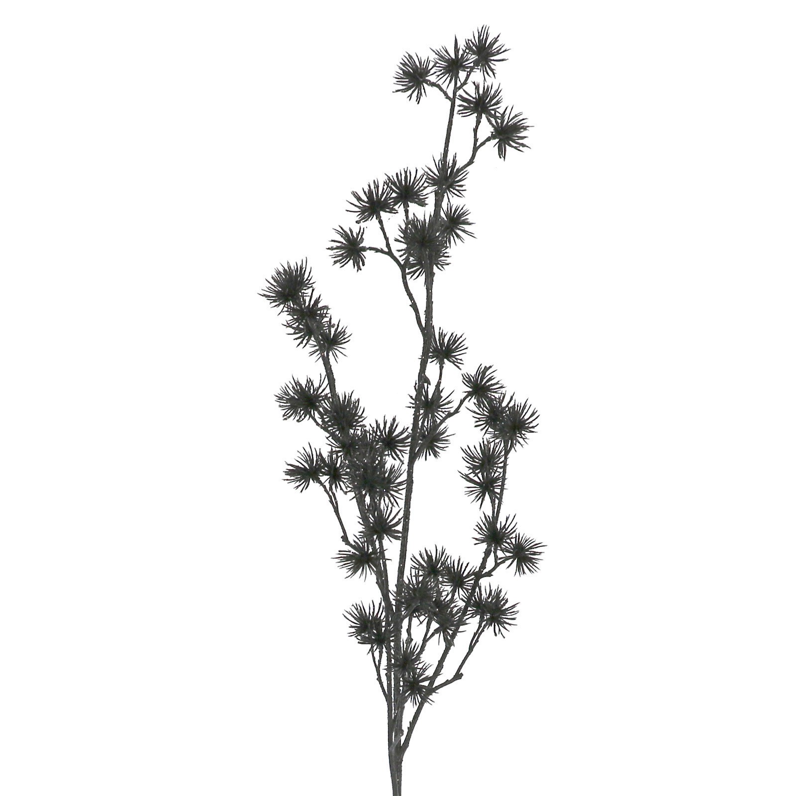 slide 2 of 2, 31.5" Black Pom Pom Stem By Ashland, 31.5 in