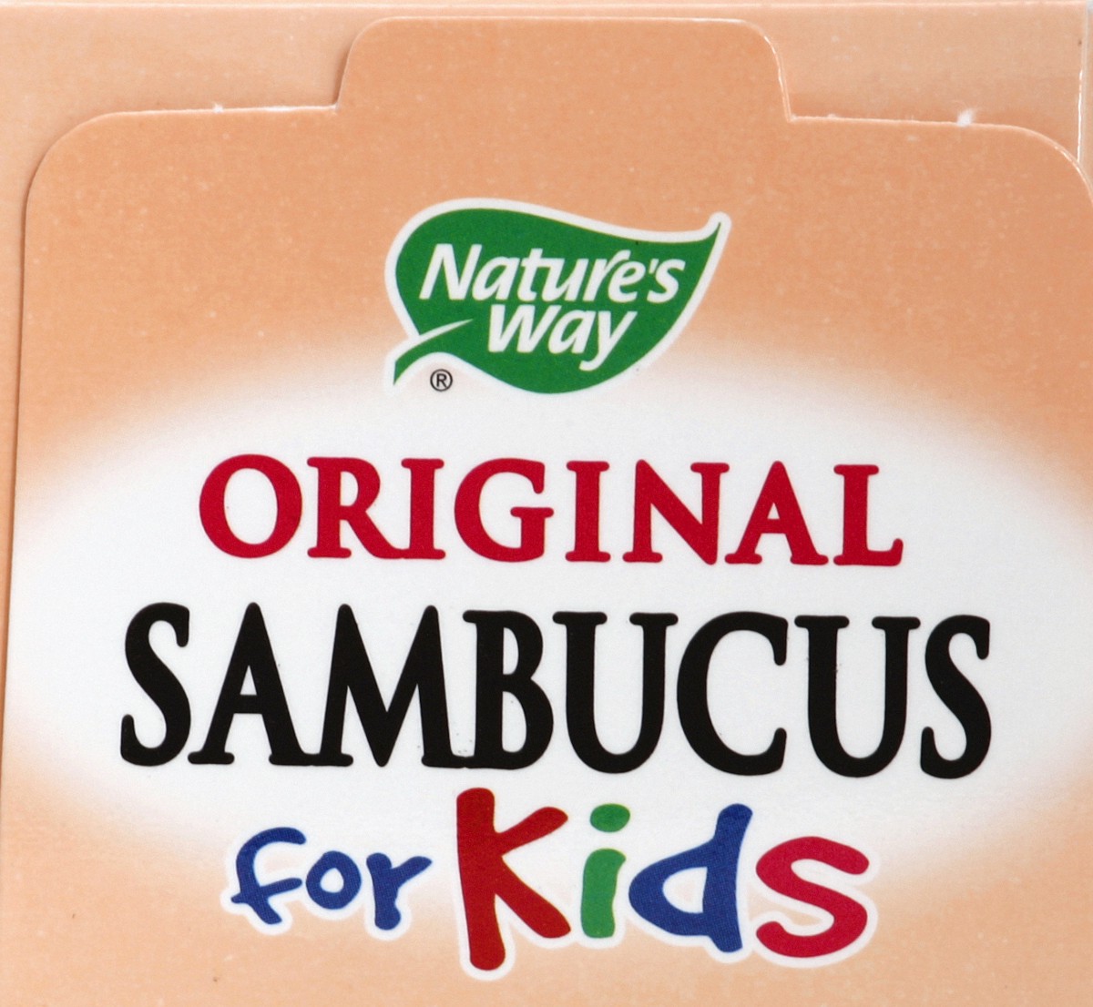 slide 2 of 5, Nature's Way Ages 2+ Kids Sambucus Elderberry Immune Syrup 4 fl oz, 120 ml (4 fl oz