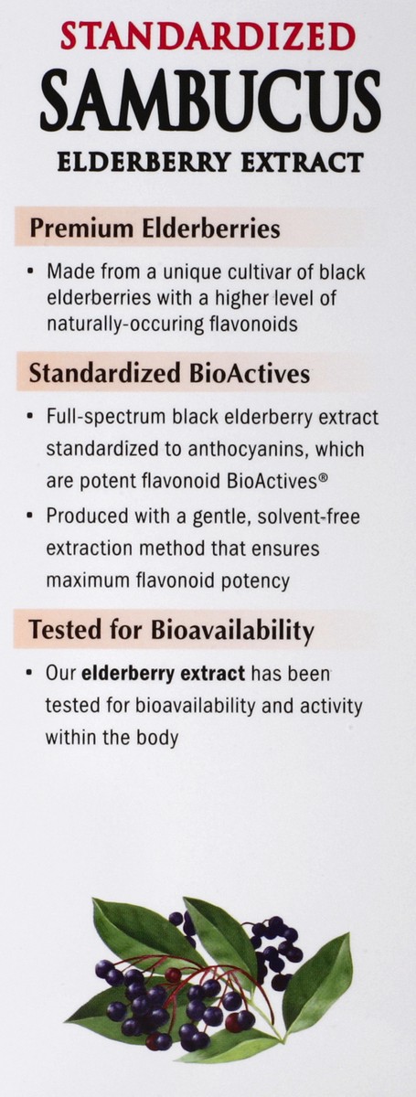 slide 5 of 5, Nature's Way Ages 2+ Kids Sambucus Elderberry Immune Syrup 4 fl oz, 120 ml (4 fl oz