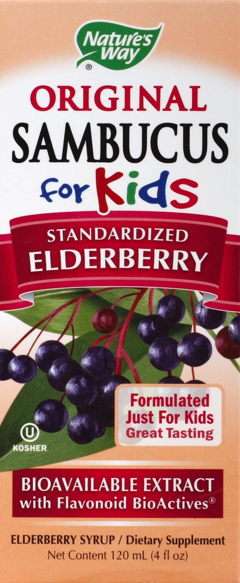 slide 3 of 5, Nature's Way Ages 2+ Kids Sambucus Elderberry Immune Syrup 4 fl oz, 120 ml (4 fl oz