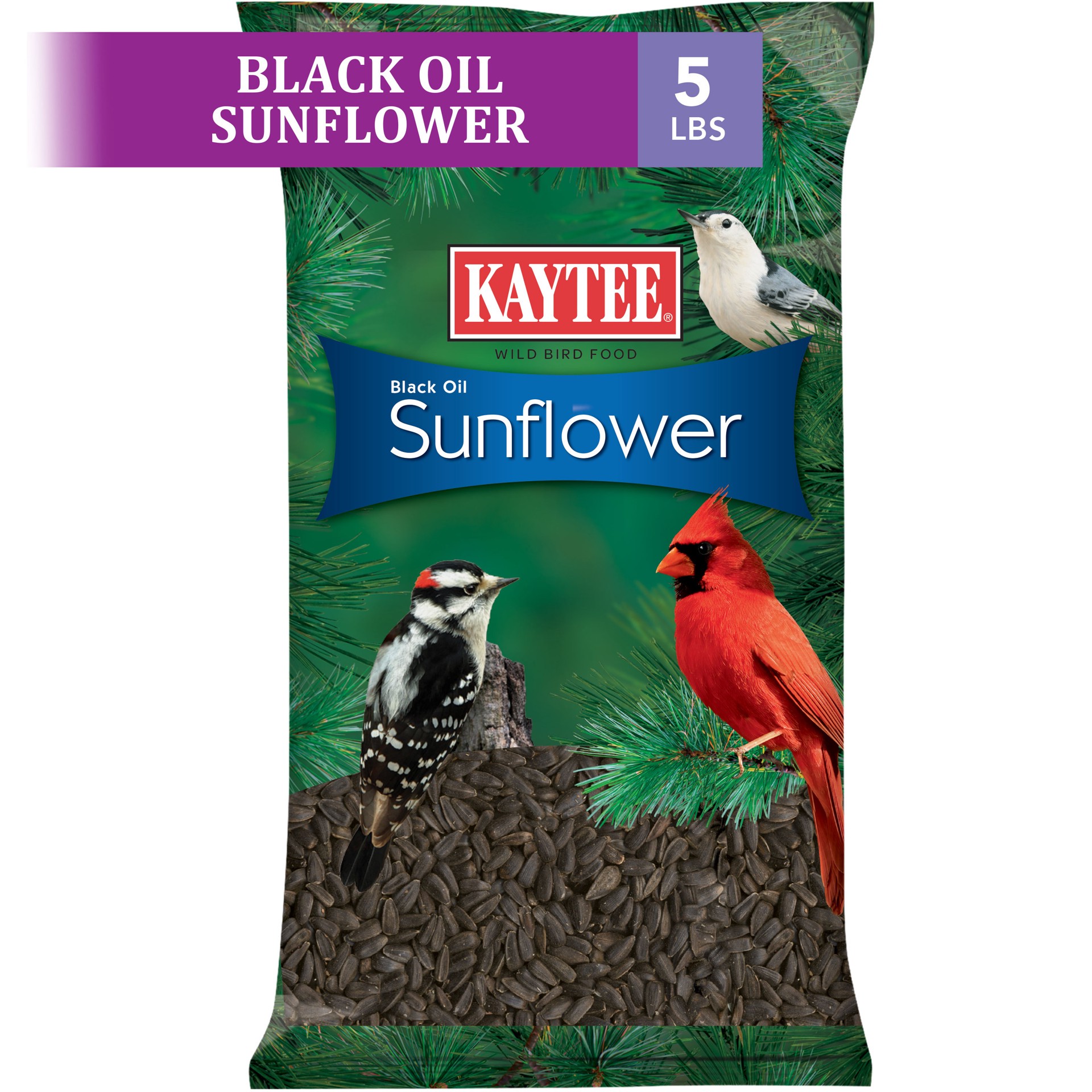 slide 5 of 9, Kaytee Sunflower Seeds, 80 oz