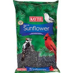 Kaytee Wild Bird Black Oil Sunflower Food, 5 lb