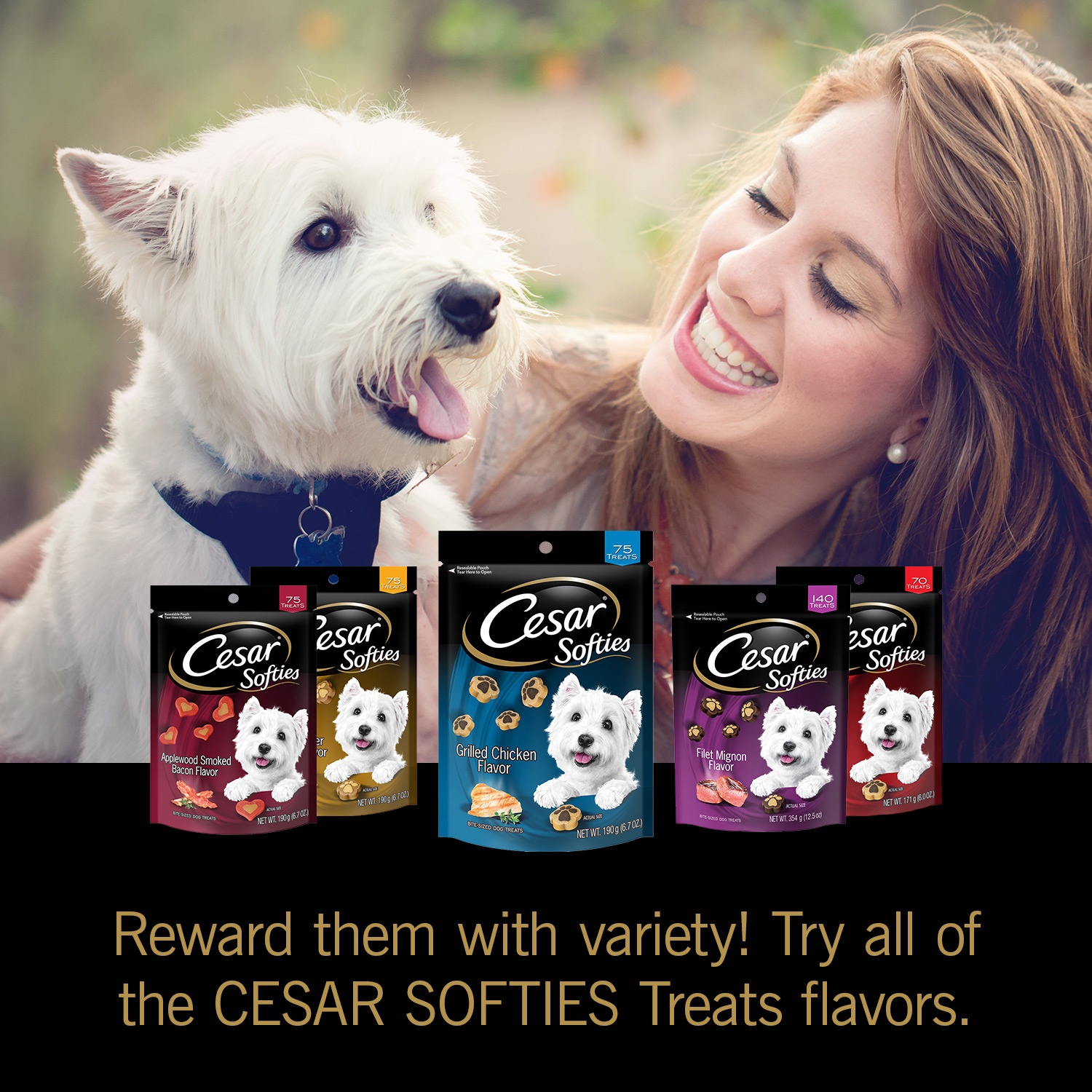 CESAR SOFTIES Chewy Small Dog Treats Grilled Chicken Flavor | Shipt