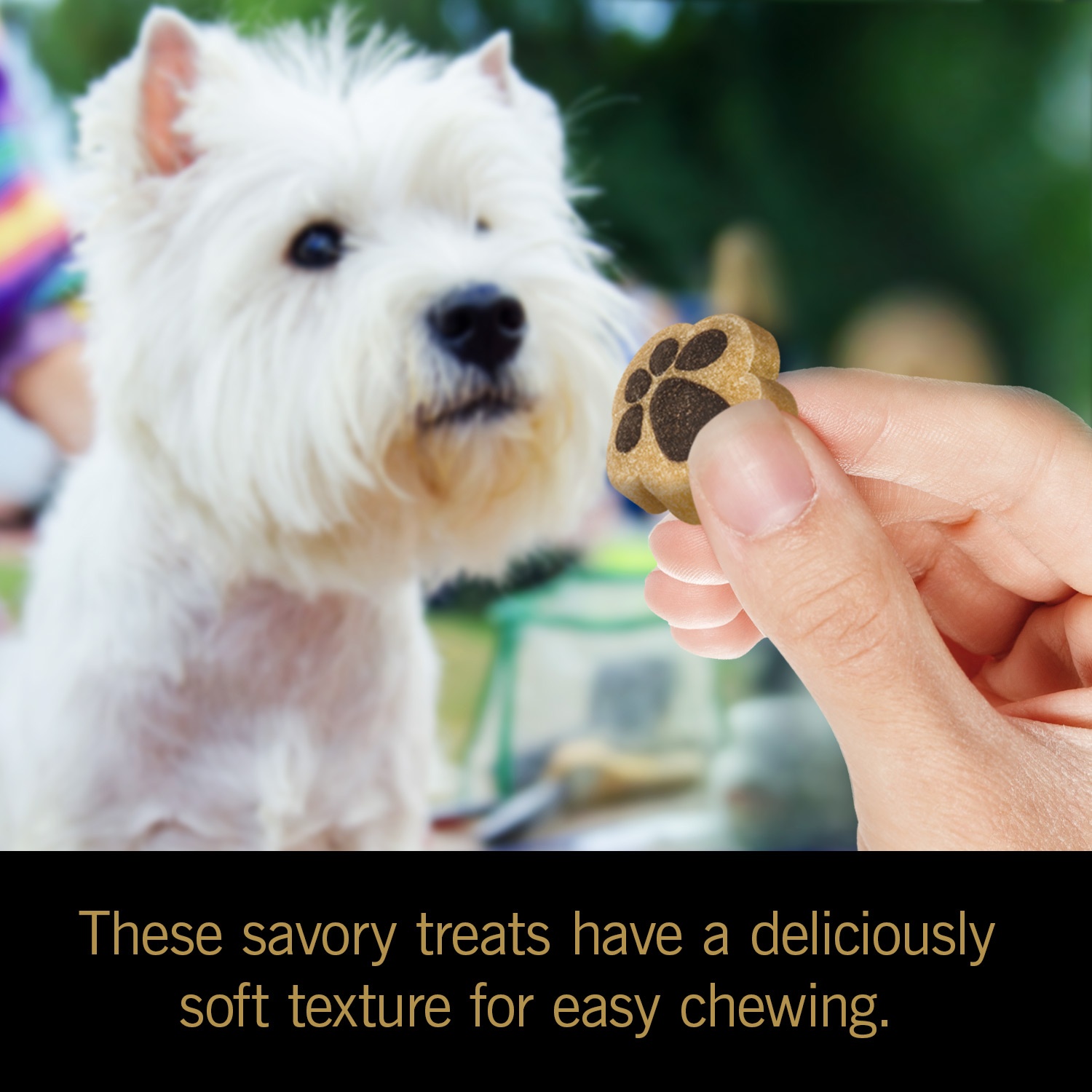 CESAR SOFTIES Chewy Small Dog Treats Grilled Chicken Flavor 6.7 oz | Shipt