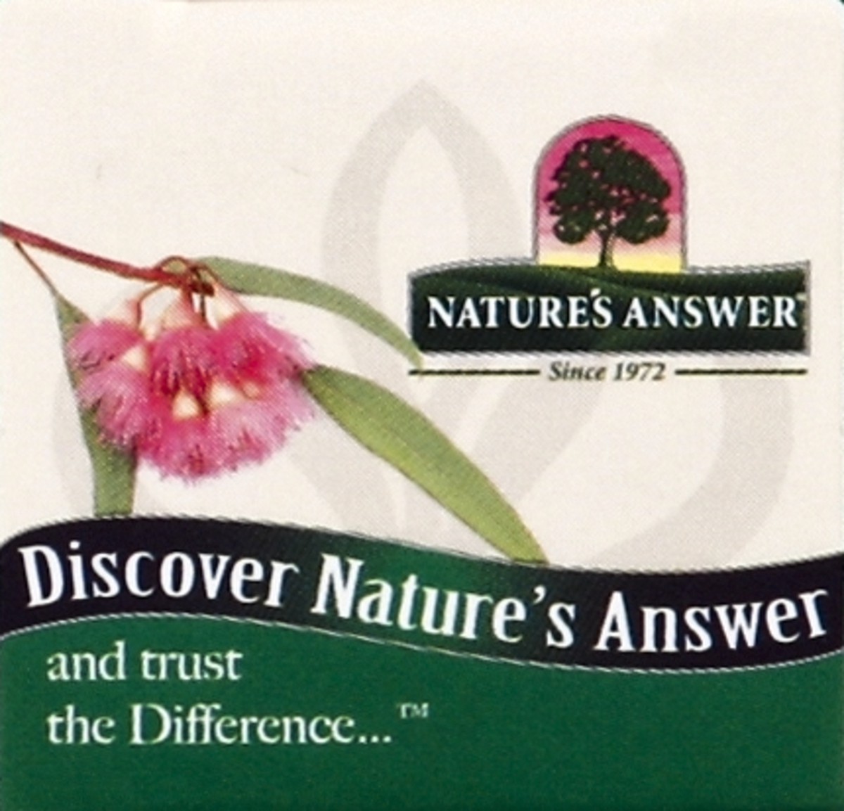 slide 4 of 4, Nature's Answer 100% Pure Organic Eucalyptus Essential Oil 0.5 fl oz, 0.5 oz