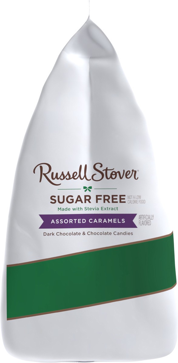 slide 6 of 14, RUSSELL STOVER Sugar Free Assorted Caramels in Chocolate Candy, 15.3 oz. bag, 17.6 oz