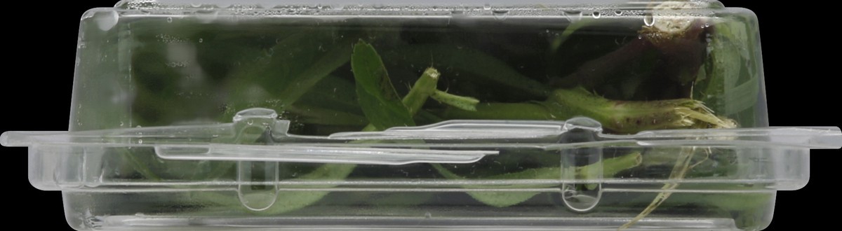 slide 6 of 6, Full Circle Tarragon, 0.67 oz