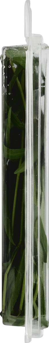 slide 5 of 6, Full Circle Tarragon, 0.67 oz