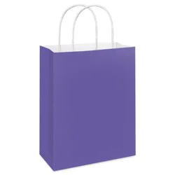 American Greetings Large Purple Gift Bag