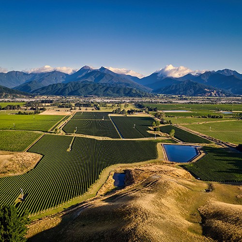 slide 6 of 10, Frenzy Sauvignon Blanc Mount Richmond Estate, Marlborough, 750 ml