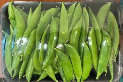 Trayed Sugar Snaps