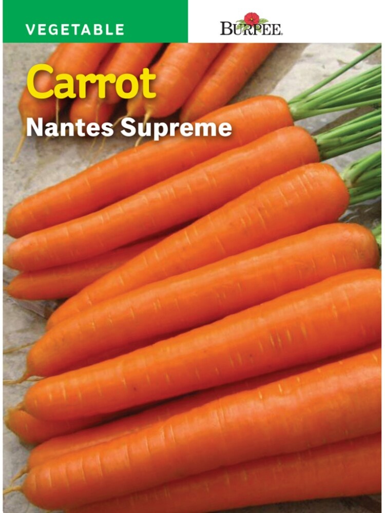 slide 1 of 1, Burpee Nantes Supreme Carrot Seeds - Orange, 1 ct