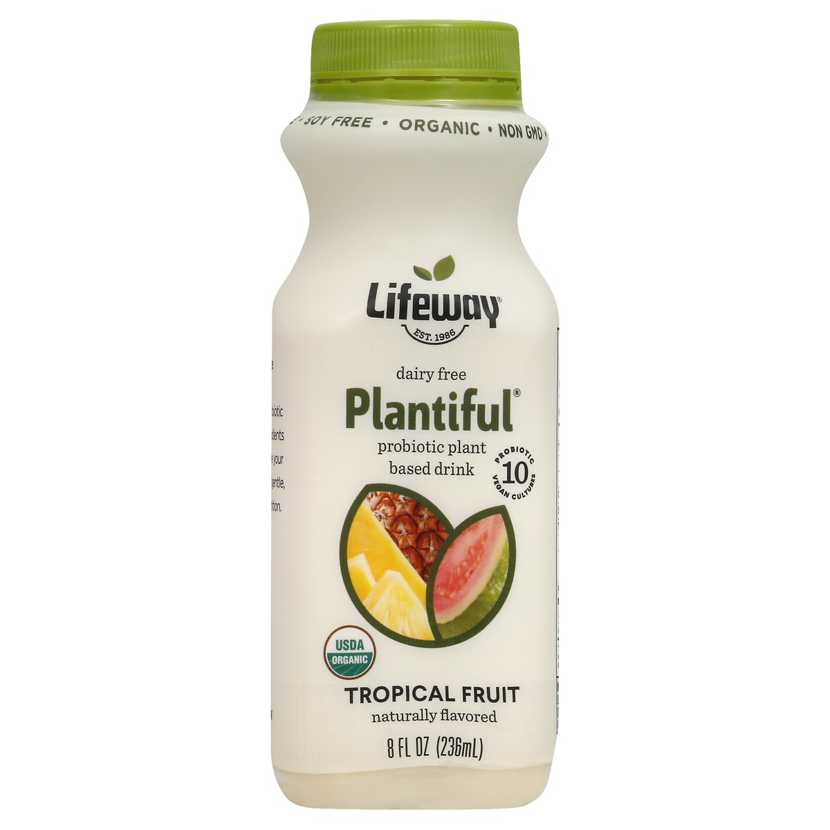 slide 1 of 1, Lifeway Organic Dairy Free Plantiful Trop Fruit, 8 oz