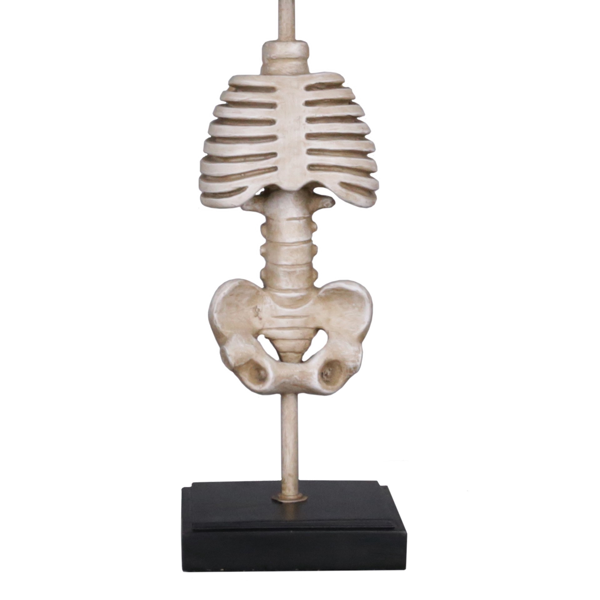 slide 3 of 4, 18.7" Skeleton Tabletop Lamp By Ashland, 18.7 in