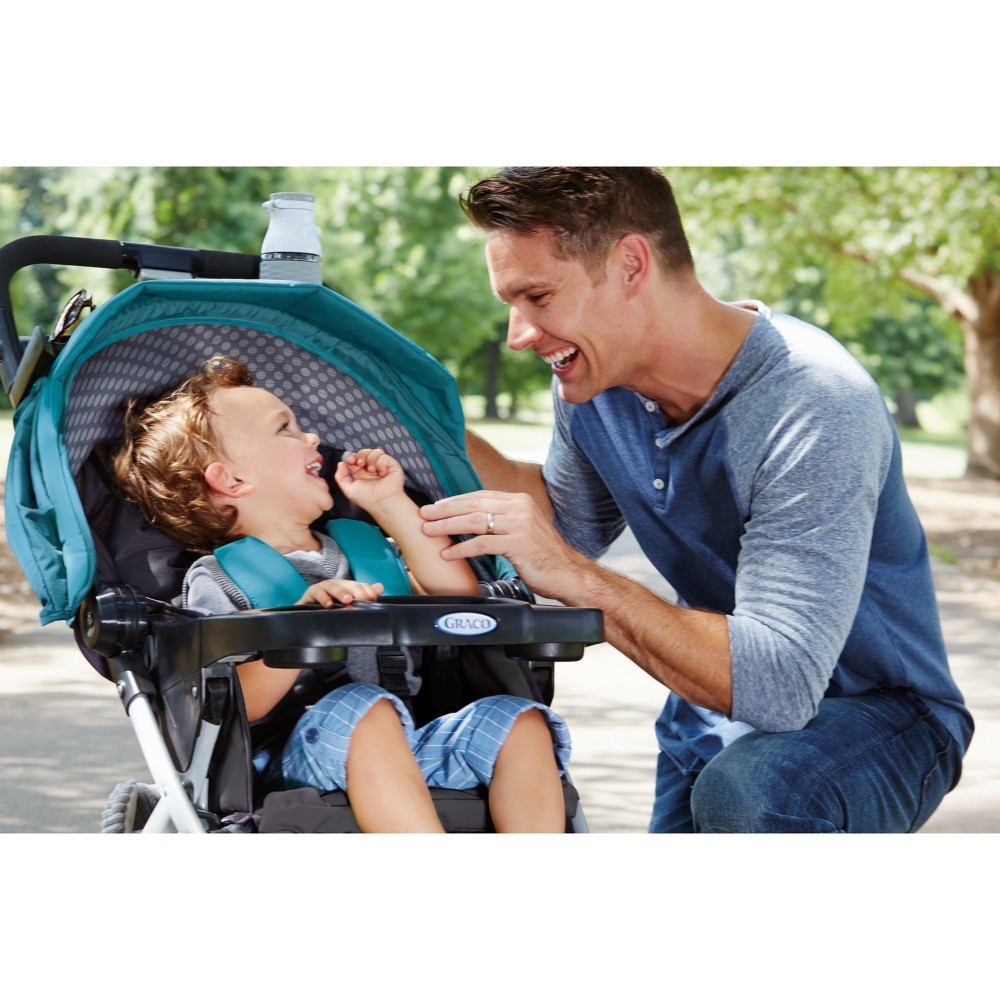 Graco pace travel sales system birch