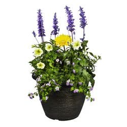 Garden Exclusives 13.0 Patio Planter