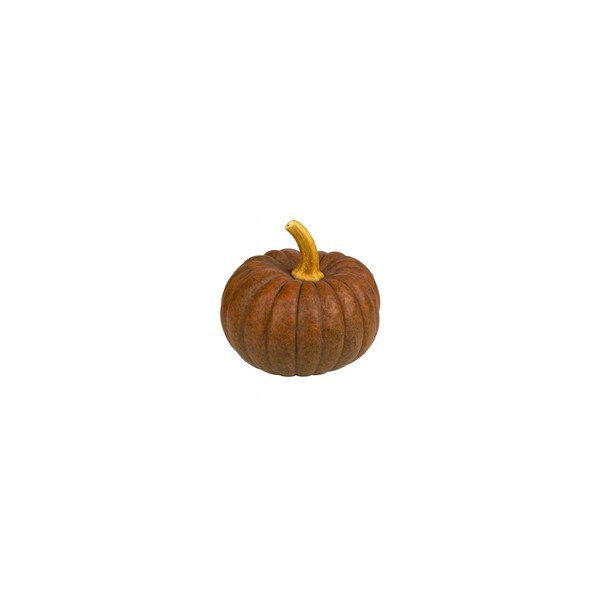 slide 1 of 1, Mini Asian Heirloom Pumpkin, 1 ct