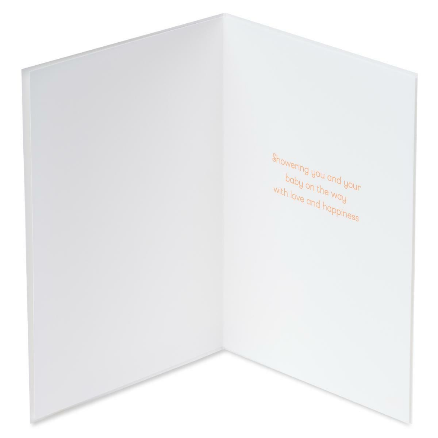 slide 2 of 5, Papyrus Greeting Card 1 ea, 1 ct