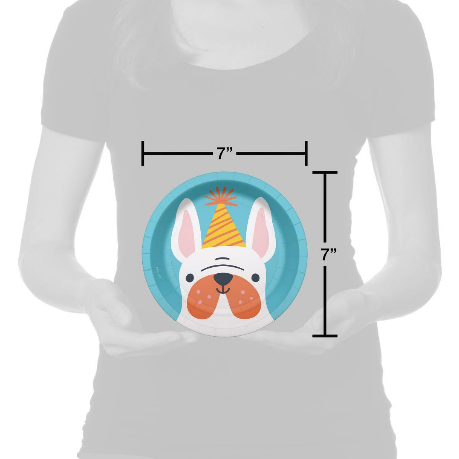 slide 3 of 3, American Greetings 10-Count 7" Paper Plates, Dog with Birthday Hat, 1 ct