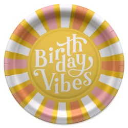 American Greetings 10-Count 9" Birthday Paper Plates, Birthday Vibes