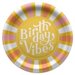 American Greetings 10-Count 9" Birthday Paper Plates, Birthday Vibes