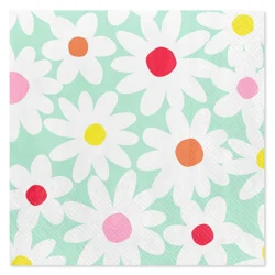 American Greetings 2 Ply Napkins 20 ea