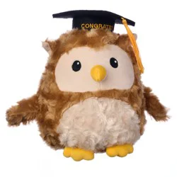 American Greetings Graduation Plush Owl with Grad Cap