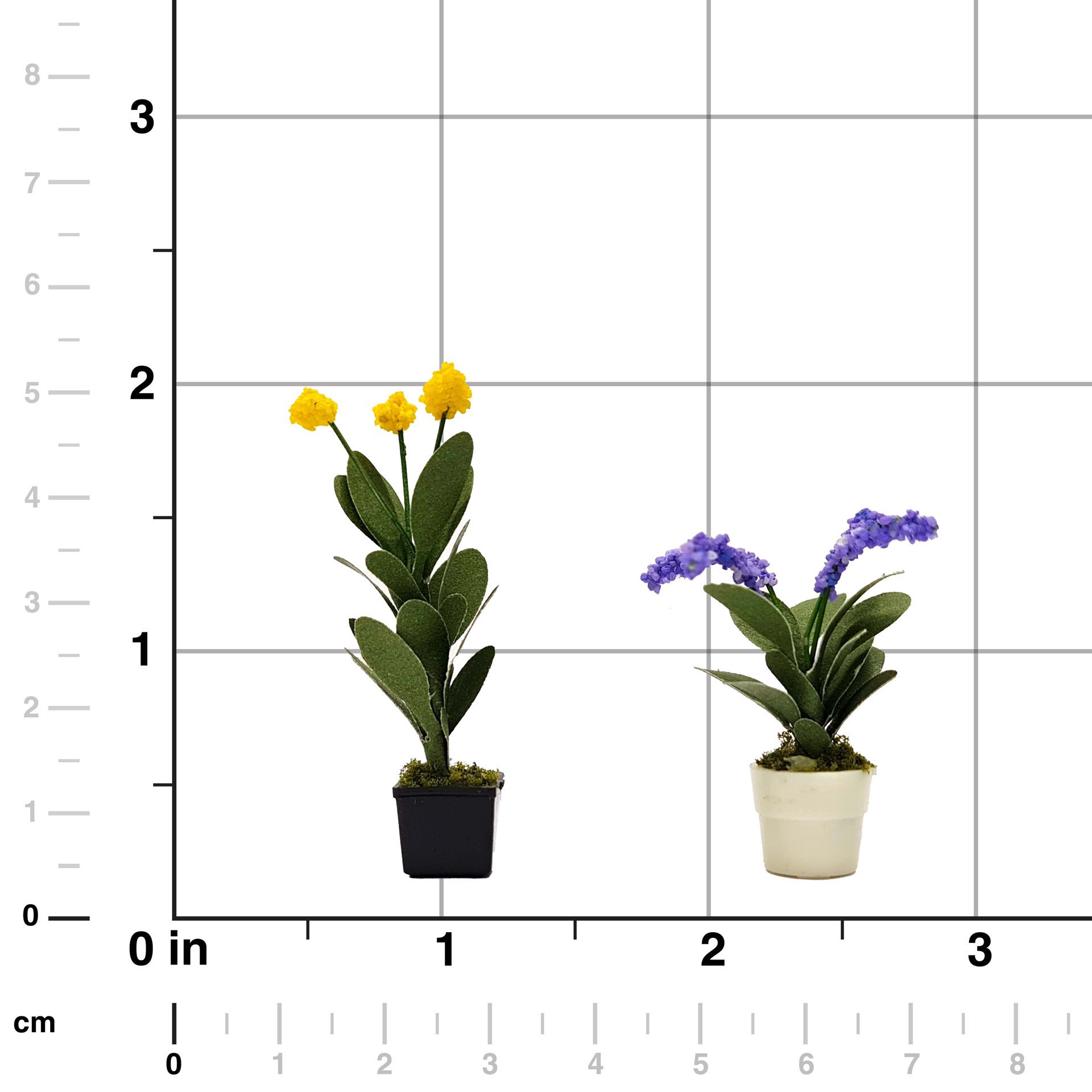 slide 3 of 4, Mini Potted Orchid Plants By Make Market, 3.5 in x 2.5 in x 0.65 in