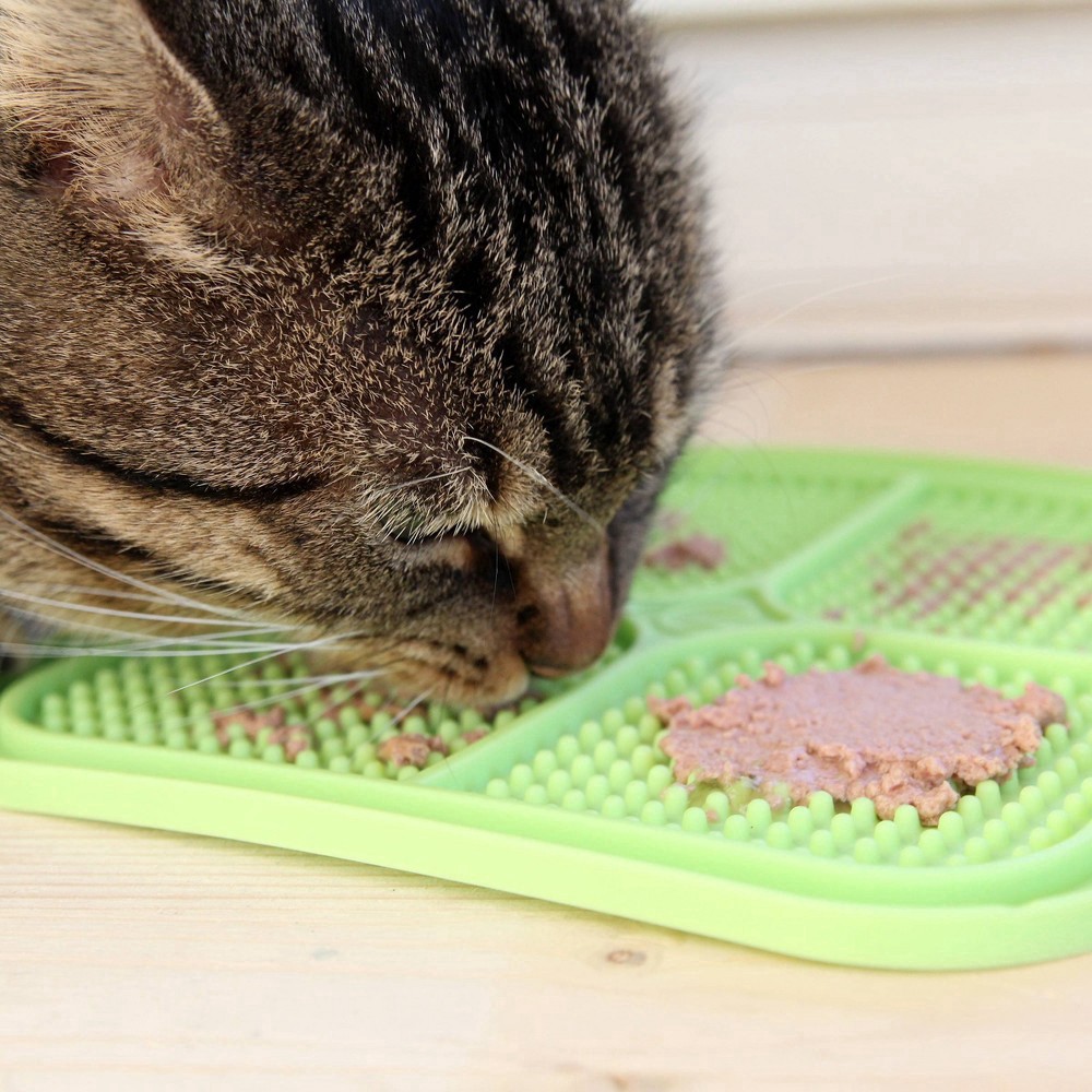 slide 4 of 5, Pet Zone Boredom Busters Relax Slow Feeder Licking Mat 1 ea, 1 ct