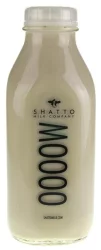 Shatto Milk Company Fresher Whole Root Beer Milk
